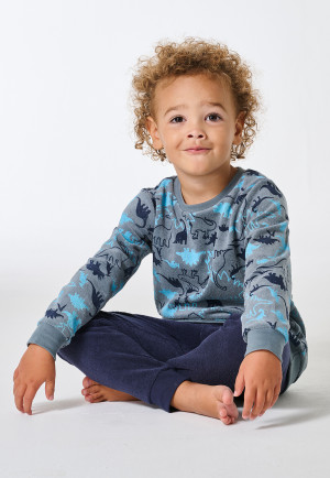 Pyjamas long pyjamas terry towelling cuffs Dinos mineral - Kids Nightwear
