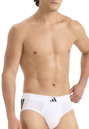 Brief