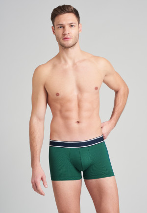 Boxer briefs modal organic cotton striped green/blue - Duality Function