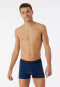 Boxer briefs 3-pack organic cotton woven elastic waistband solid-colored/striped multicolored - 95/5
