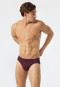 Bikini brief Tencel pinstripe pattern burgundy - selected! premium inspiration