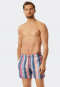 Pantaloncini da bagno in tessuto a righe multicolori - California Cruise