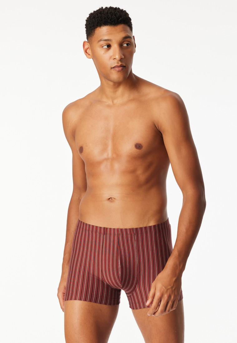 Shorts 3-pack Organic Cotton plain/ringed multi-colored - 95/5