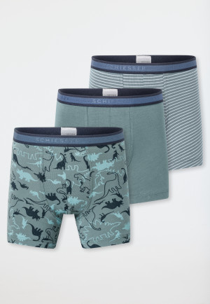 3-pack shorts Organic Cotton Dinos stripes green - 95/5