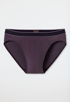 Rio briefs stripes purple - Duality Function