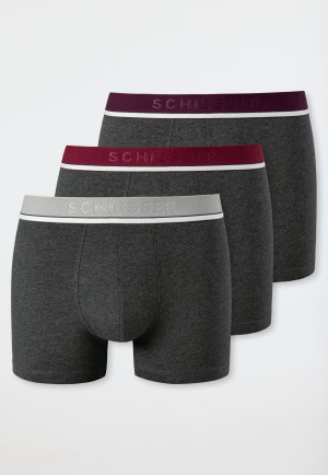 Da Uomo Ragazzi divertente novità maleducato Boxer Boxer Pantaloncini Hipster TRUNKS Biancheria Intima Pack 