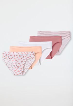 Slips 5er-Pack Organic Cotton Ringel Animal-Print mehrfarbig - 95/5