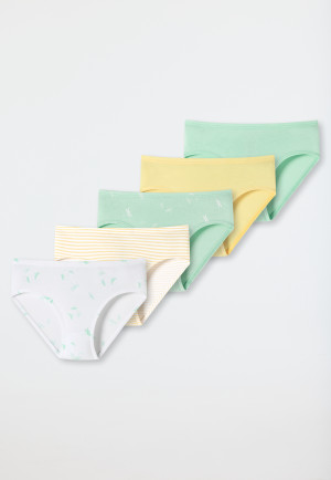 Culottes lot de 5 coton bio taille douce rayures libellules multicolore - Cat Zoe