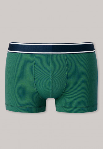 Shorts Modal Organic Cotton gestreift grün/blau - Duality Function