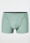 Short in Organic Cotton a fantasia kaki - 95/5