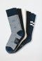 Men's socks, 5-pack, multi-colored - fashion