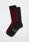 Herrensocken 2er-Pack Pima Baumwolle dunkelrot/ schwarz - Long Life Cool
