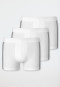 Boxers lot de 3 coton bio blanc rayé - 95/5