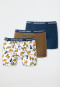 Boxer briefs 3-pack organic cotton woven elastic waistband stripes leopard multicolored - Natural Love