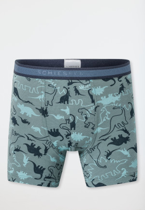 3-pack shorts Organic Cotton Dinos stripes green - 95/5