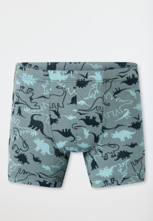 Shorts 5-pack Organic Cotton Dinos striping green/ blue - 95/5