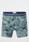 Short set van 3 stuks Organic Cotton dinosaurussen streepjes groen - 95/5 Organic