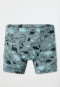 Shorts 5-pack Organic Cotton Dinos striping green/ blue - 95/5