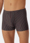 Boxer briefs organic cotton stripes multicolored – 95/5