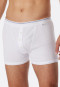 Boxer blanc - Revival Friedrich