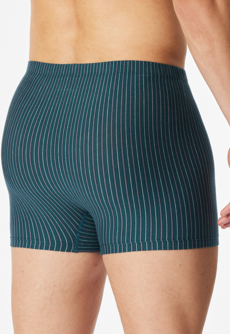 Short 3 set van Organic Cotton gestreept meerkleurig - 95/5