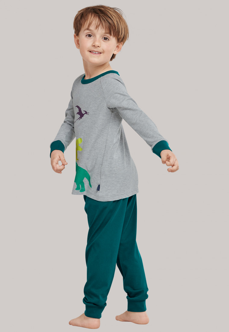 Pyjama lang boordjes dinosaurus grijs-gemêleerd/donkergroen - Supersaurus