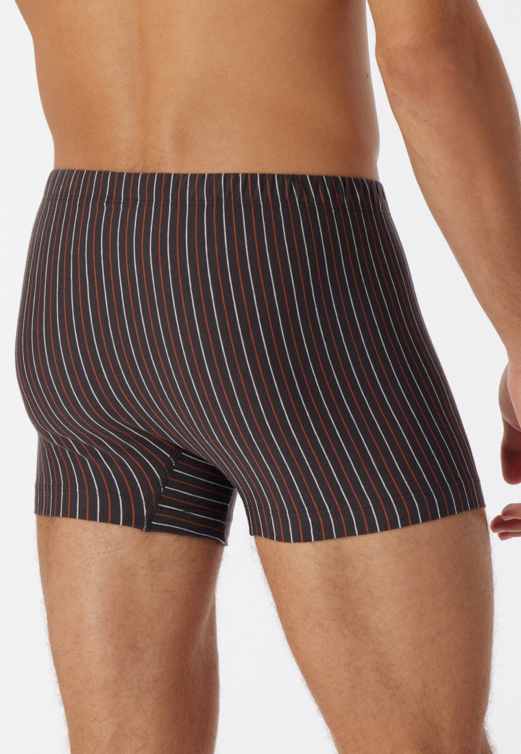 Boxer briefs organic cotton stripes multicolored – 95/5