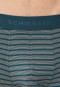 Shorts 3-pack Organic Cotton woven elastic waistband plain/stripes multi-colored - 95/5